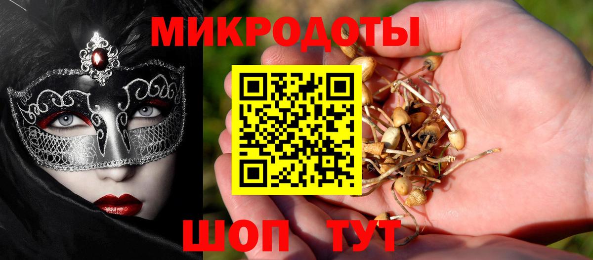 Галлюциногенные грибы GOLDEN TEACHER Армавир