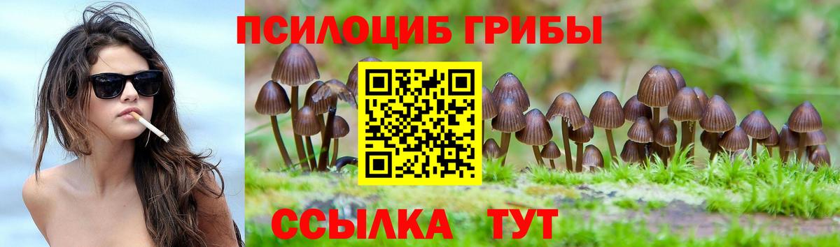 Армавир  Галлюциногенные грибы Psilocybe  Вход с VPN 